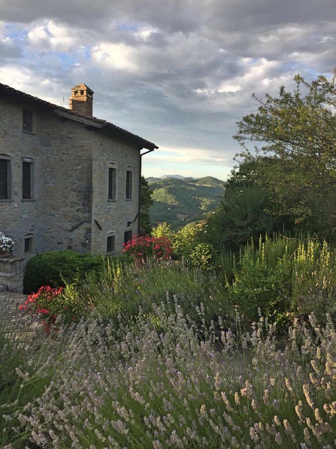 Villa Cavagnetti بييترالونجا المظهر الخارجي الصورة